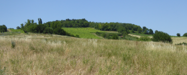 Natuschutzgebiet Eichkogel